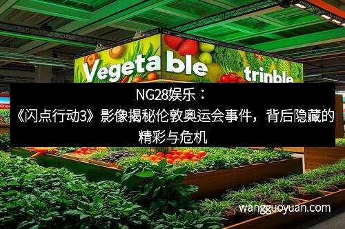 NG28娱乐：《闪点行动3》影像揭秘伦敦奥运会事件，背后隐藏的精彩与危机